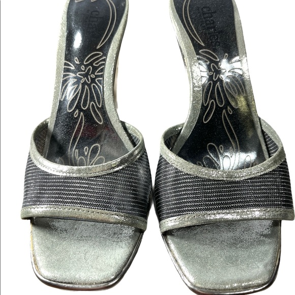 NWOT Charles David Silver Wedge with Silver Mesh Band & Solid Silver Heel - Picture 4 of 6
